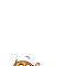 knudel